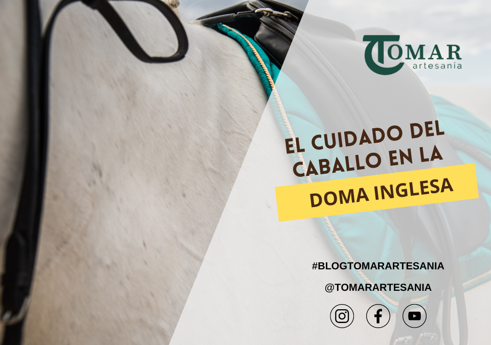 El cuidado del Caballo en la Doma Inglesa