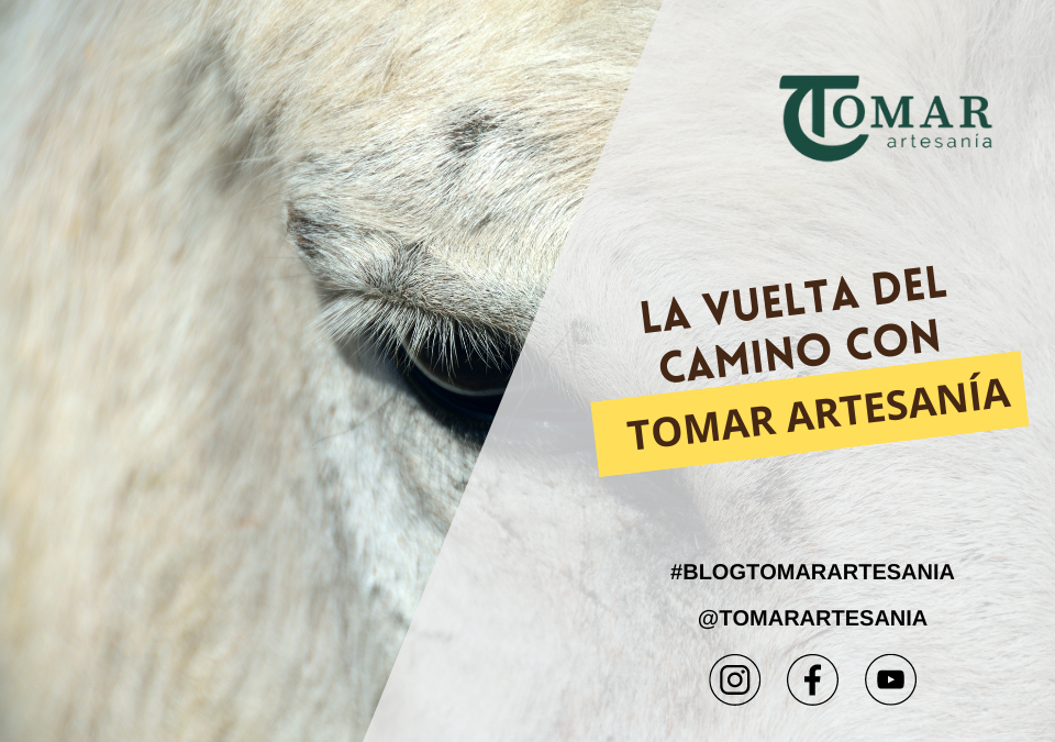 El Retorno del Camino del Rocío: Memorias e Historias Entretejidas en Cada Traje de Tomar Artesanía